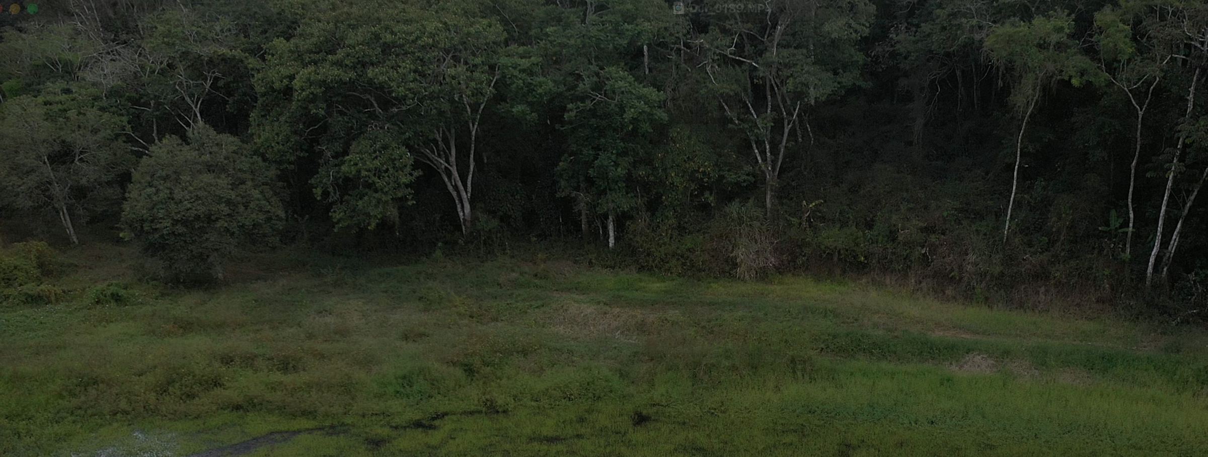 Open land where the plots are located