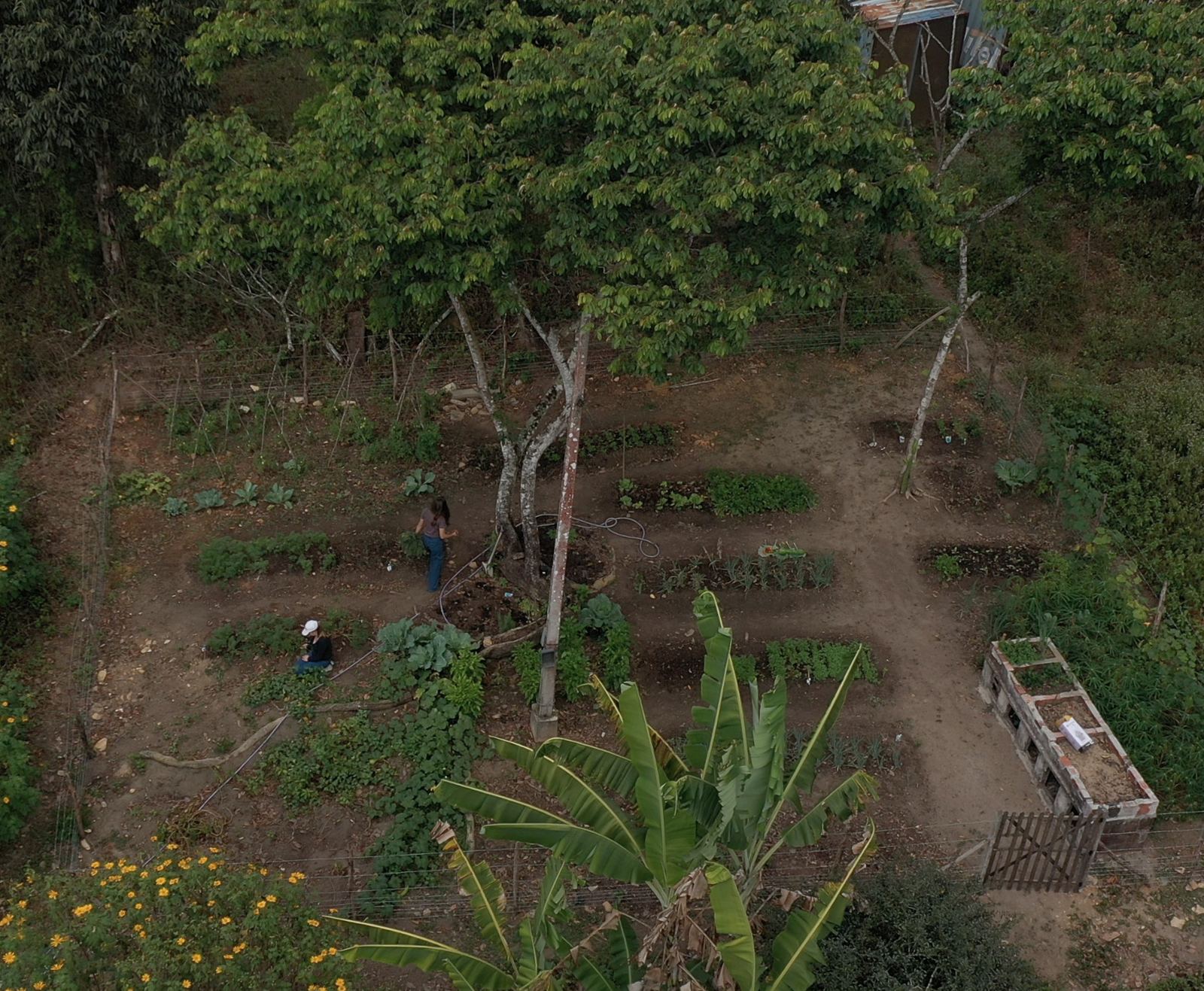 Vegetable garden on the estate